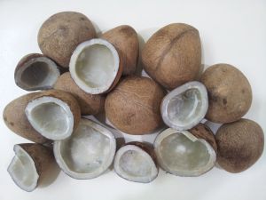 B Grade Dry Coconut Copra