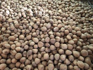 B Grade Dry Coconut Copra