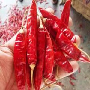 Dry Red Chilli