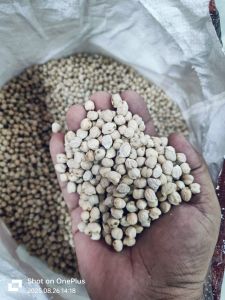 Organic Kabuli Chana