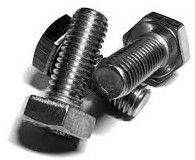 Stainless Steel 304 Raw Bolt