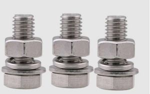 Stainless Steel Hex Screw Nuts Set