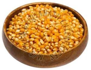 Yellow Maize Seeds