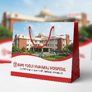 Paper Bag for Hospital