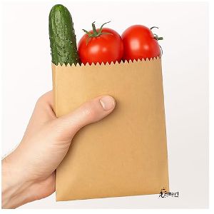 V Bottom Kraft Paper Bag