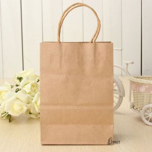 Plain Twisted Handle Paper Carry Bag