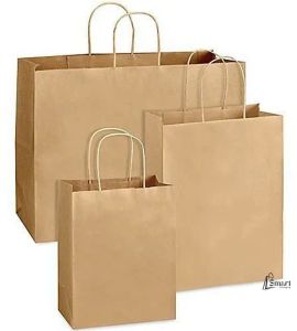 Plain Twisted Handle Paper Carry Bag