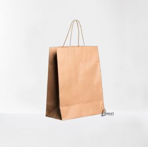 Plain Twisted Handle Paper Carry Bag