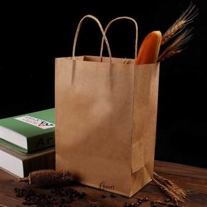 Plain Twisted Handle Paper Carry Bag