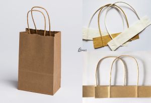 Plain Twisted Handle Paper Carry Bag