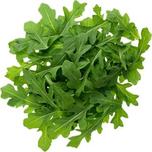 Frozen Arugula