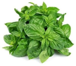Frozen Basil Leaves