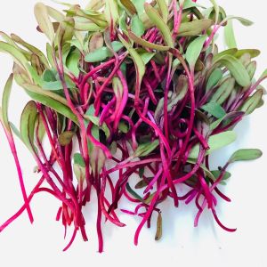Frozen Beet Leaves
