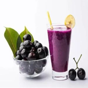 Frozen Blueberry Pulp
