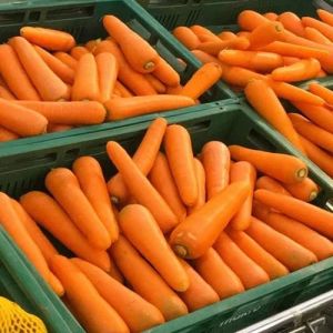 Frozen Carrot