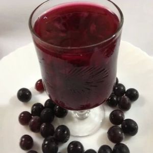 Frozen Cranberry Pulp