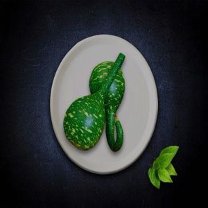 Frozen Green Gourd