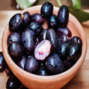 Frozen Jamun