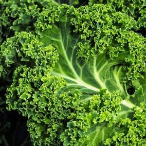 Frozen Kale