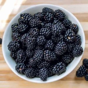 Frozen Mulberry