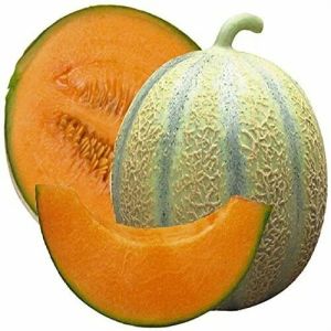 Frozen Muskmelon
