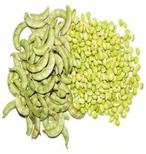 Frozen Papdi Lilva