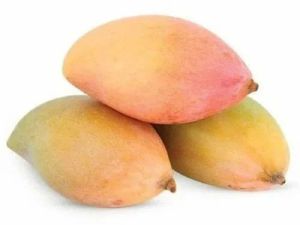 Frozen Totapuri Mango