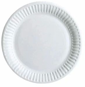 14 Inch Disposable Paper Plate