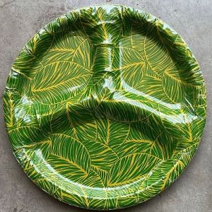3 CP Disposable Printed Paper Plate