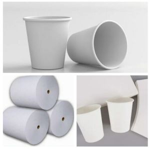 Plain White Cup Stock Paper