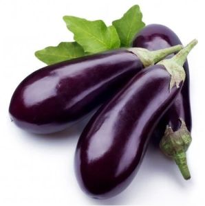 A Grade Fresh Brinjal