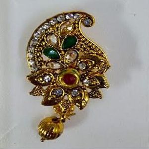 Designer Saree Pin