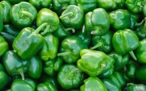 Fresh Green Capcicum