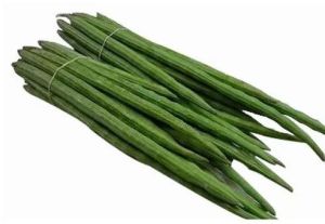 Fresh Green Drumstick