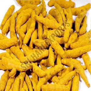 A Grade Dry Turmeric Finger