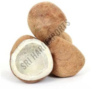Brown Dry Coconut