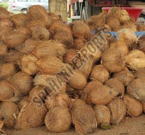 Fully Husked Coconut