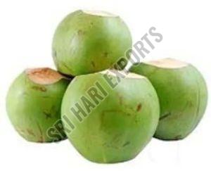 Green Tender Coconut