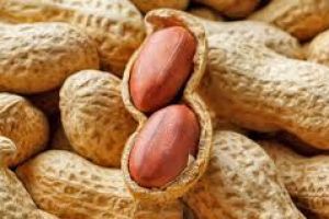 Natural Groundnut