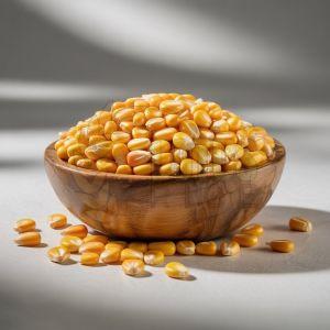 A Grade Maize Seeds