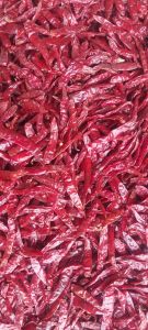 Dry Red Chilli