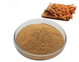 Brown Cordyceps Militaris Powder
