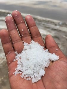 White Raw Salt