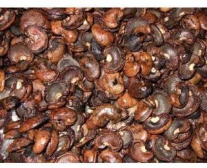 Natural Cashew Nut Shell