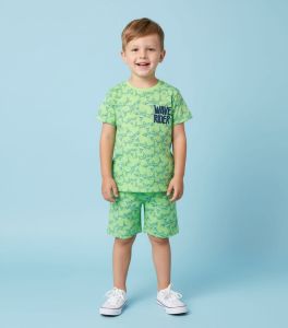 Boys Printed T Shirt & Shorts Set