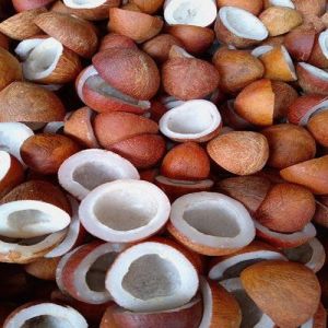 Dried Coconut