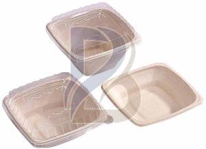 PET Lid Square Bagasse Bowl