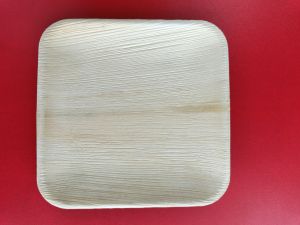 Square Areca Plate