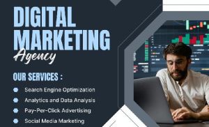 Social Media Management Services