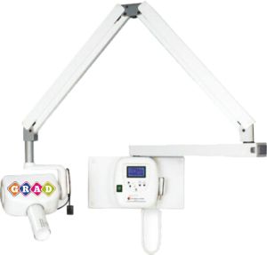 Gradent (Dental) Scissor Arm Model Dental Pearl Series